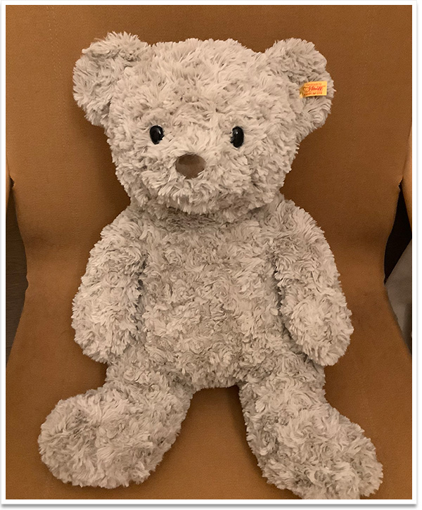 シュタイフ カドリーフレンズ テディベア ハニー 48cm EAN113482