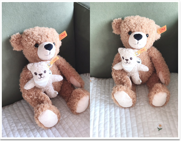 シュタイフ パディントンベア ソフトタイプ 28cm EAN690204