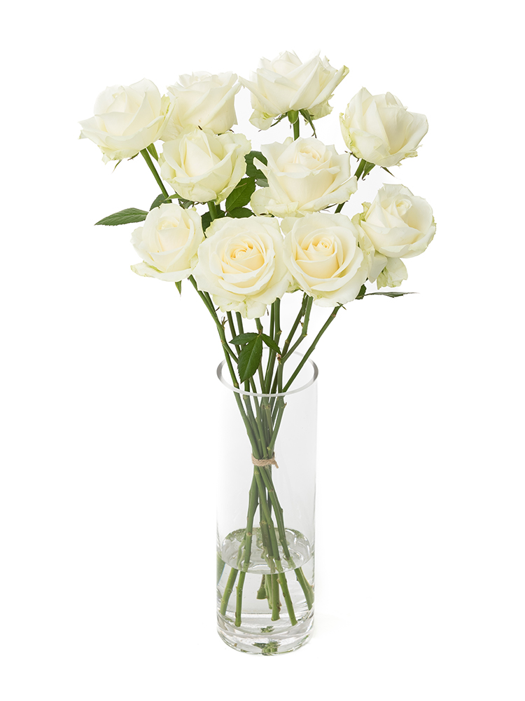 生花】バラ(白) 品種おまかせ【60cm/愛知県】｜Flower Smith Market