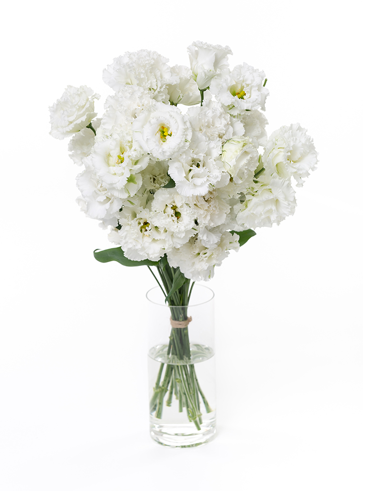 生花】トルコキキョウ セレブリッチホワイト【白/70cm/福岡県