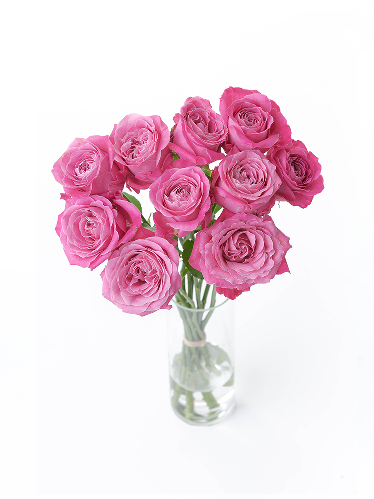 生花】バラ オール4ラブ＋【ピンク/60cm/愛知県】｜Flower Smith