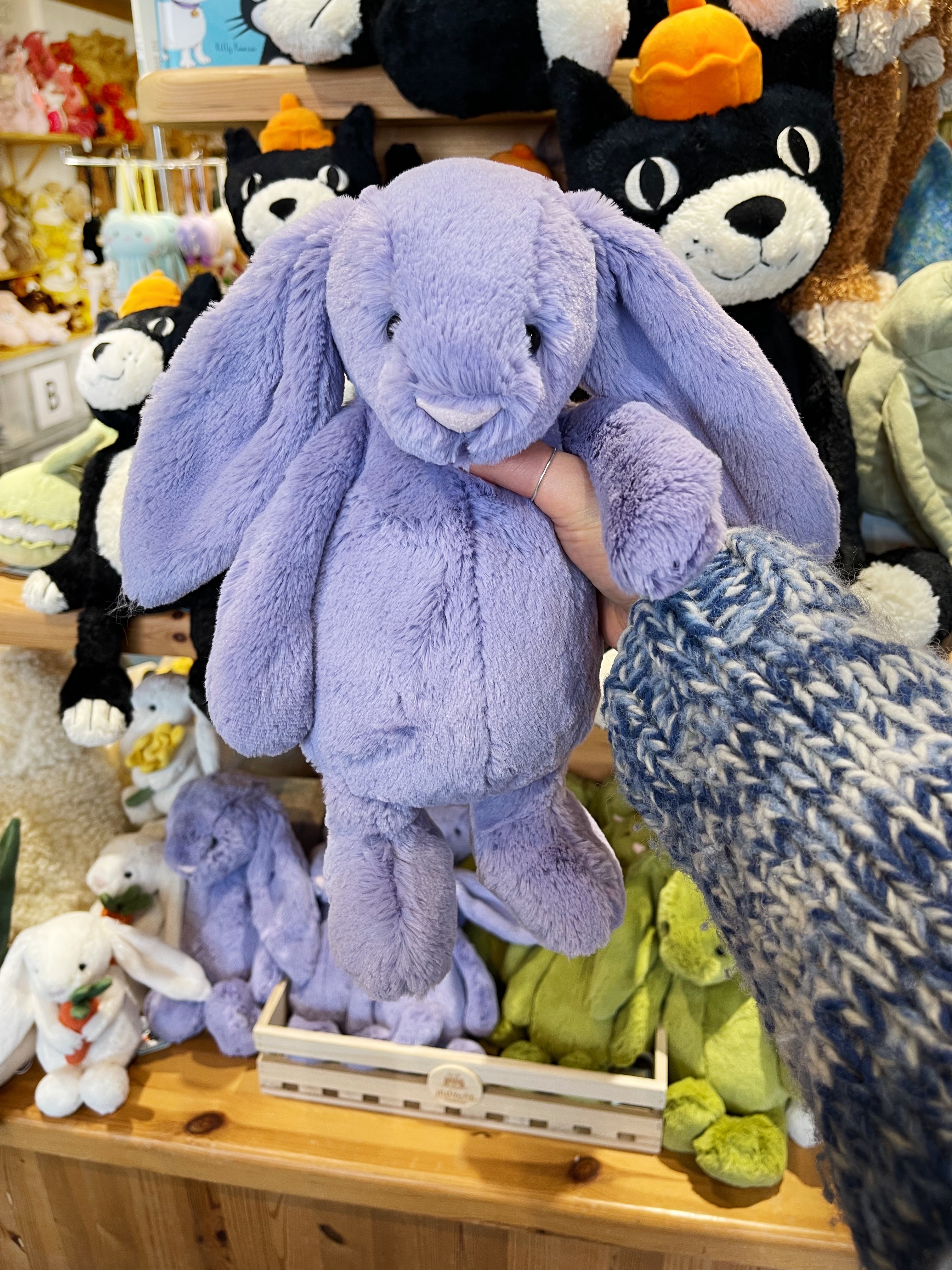 Viola Bunny | Soft Toys + Gifts