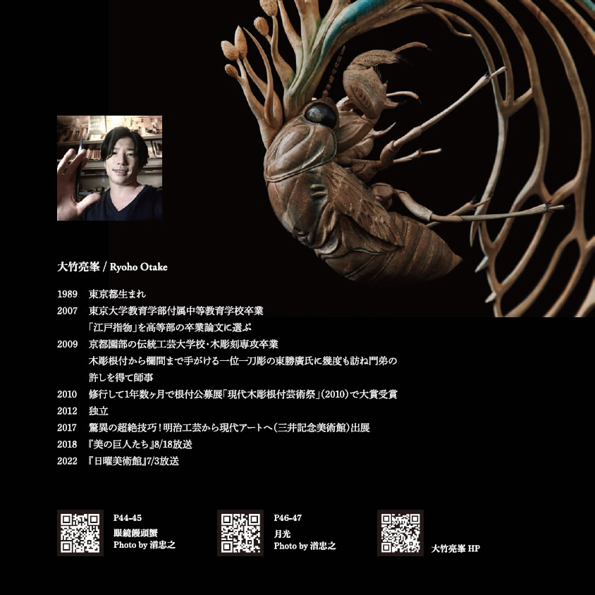 Ryoho Otake Private Gallery | Ryoho Otake Private Gallery FREEDOM