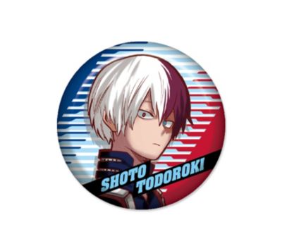 僕のヒーローアカデミア(ボクノヒーローアカデミア)の『僕のヒーロー