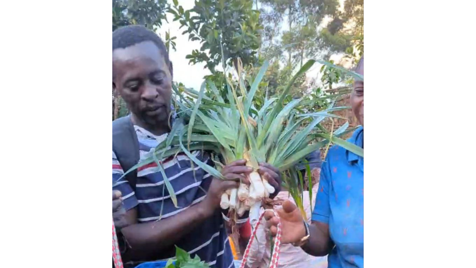 コンゴ民主共和国：命をつなぐ支援にご協力を！ | 認定NPO法人フリー