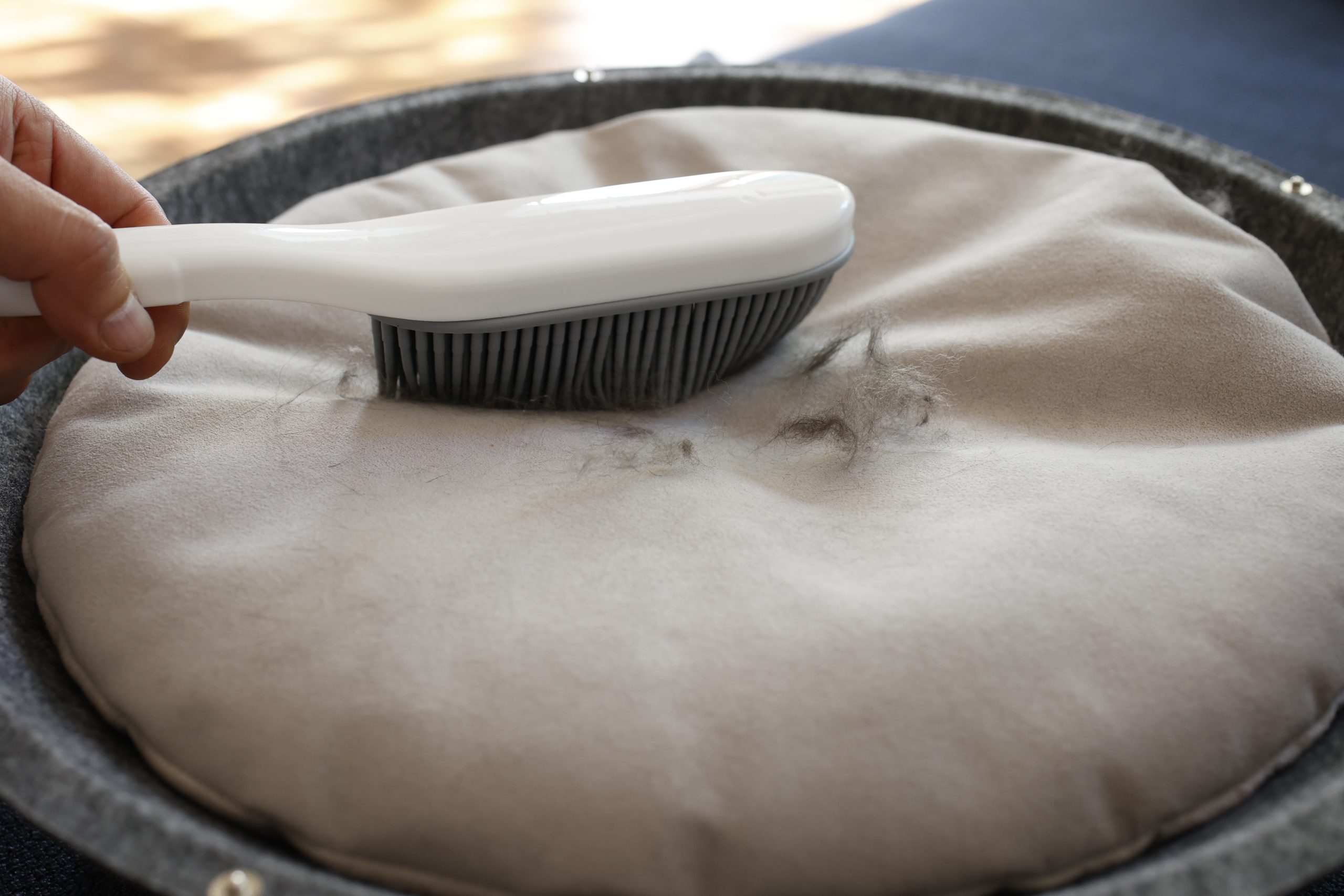 ペットの家 - オーナーとペットの境界のない暮らしを、ソファなどの