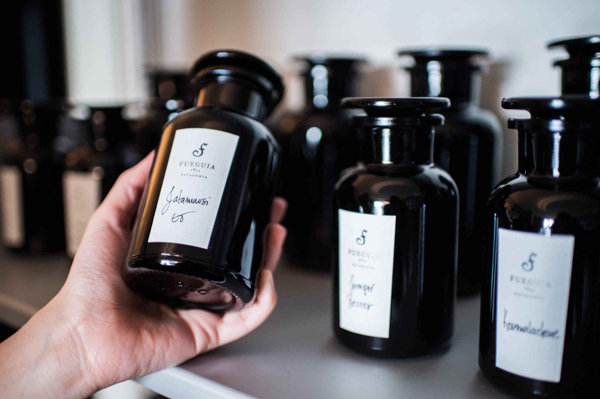 FUEGUIA 1833 | Flor de Hueso｜フロール デ ウエソ – FUEGUIA 1833