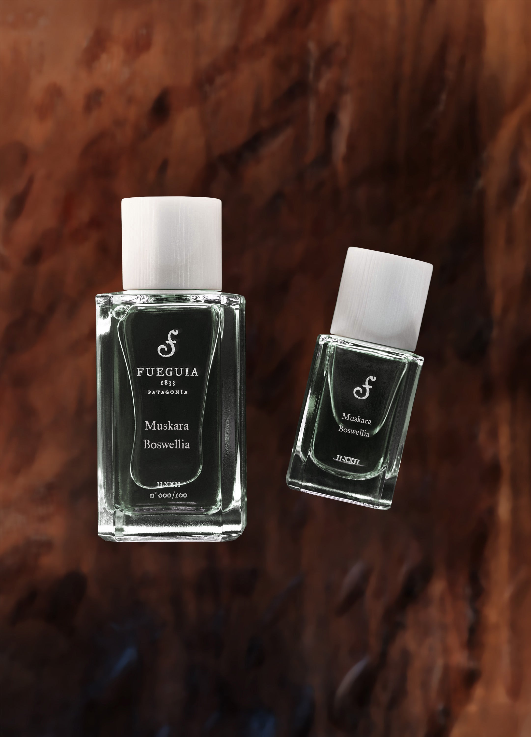 FUEGUIA 1833 | Muskara Boswellia｜ムスカラ ボスウェリア – FUEGUIA