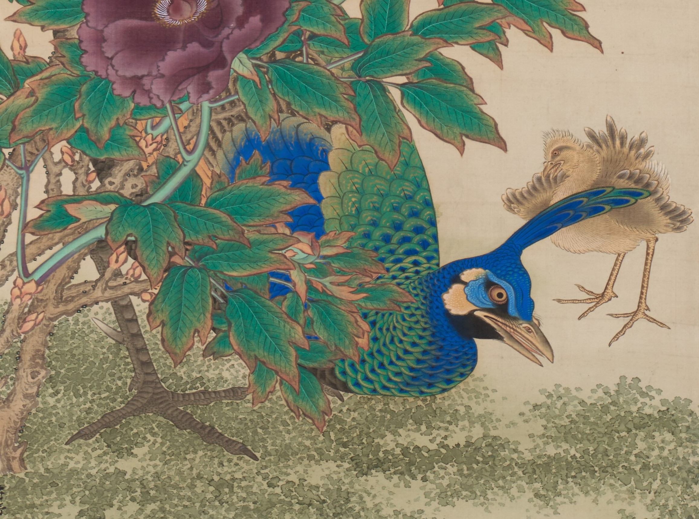 狩野永岳筆「牡丹に孔雀図」双幅 （売約済み） - 藤美術