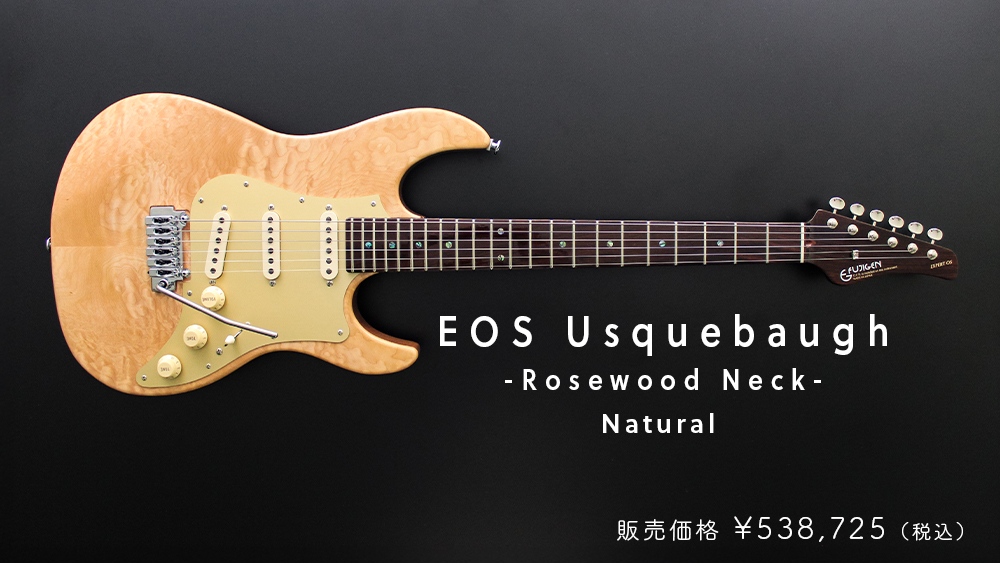 フジゲン オンラインショップ | 国産ギターメーカーフジゲンの直営