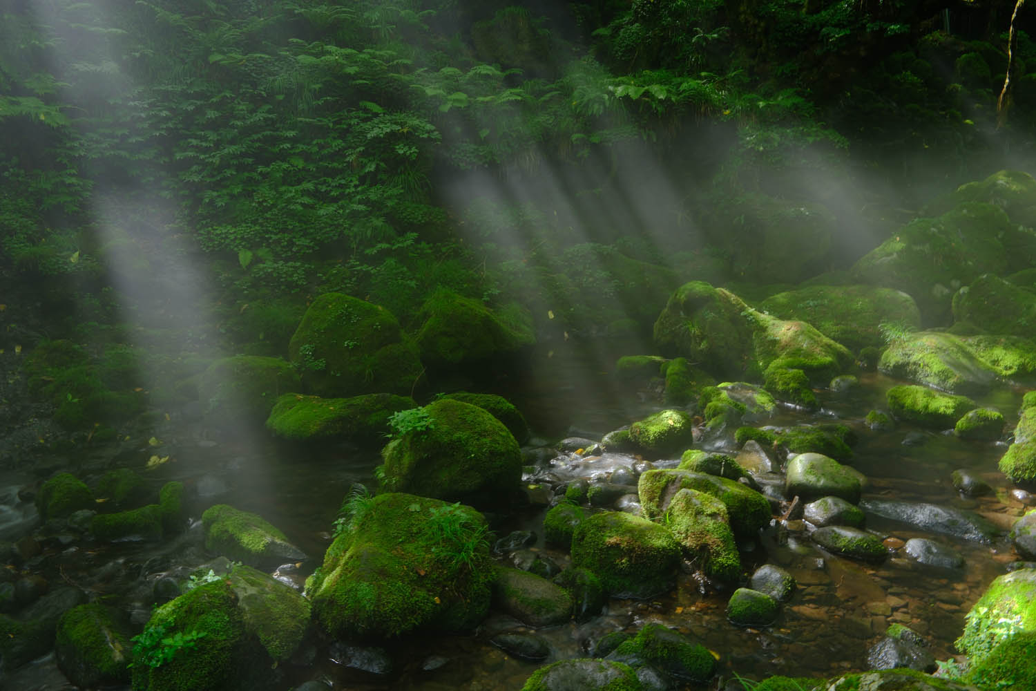 X-H2: 風景写真 x 小松ひとみ | X Stories | FUJIFILM X Series & GFX