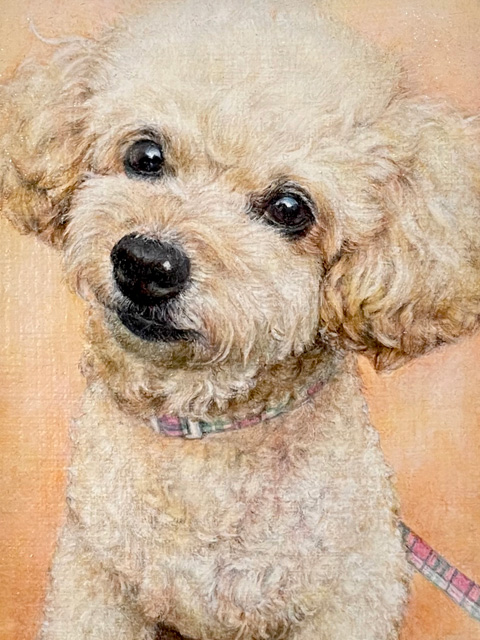 トイプードル犬の絵【完成例】お顔アップの胸像画として描いたペット肖像画