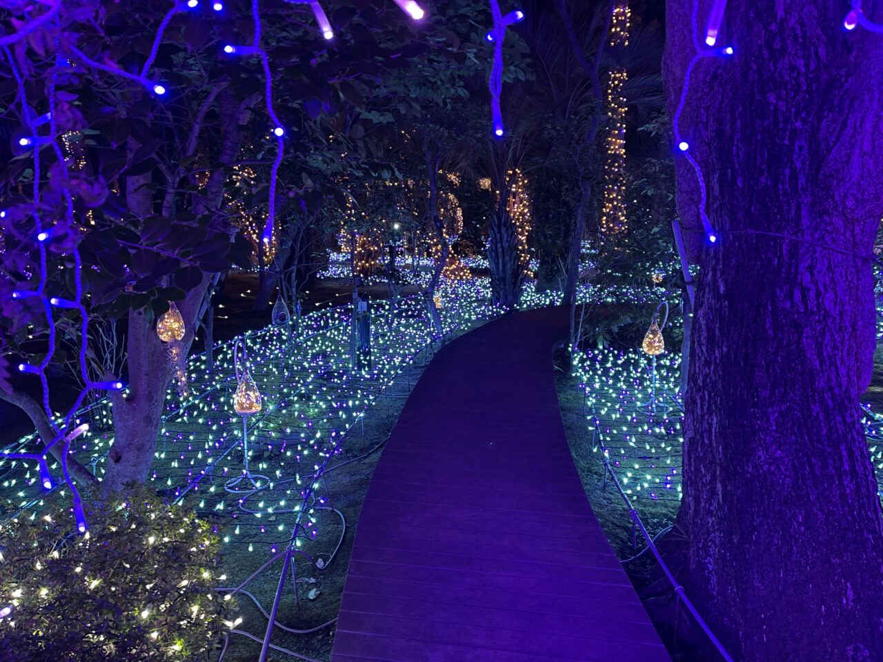 藤沢市】江の島を彩る光と色の祭典『湘南の宝石2025-2026』が、実施