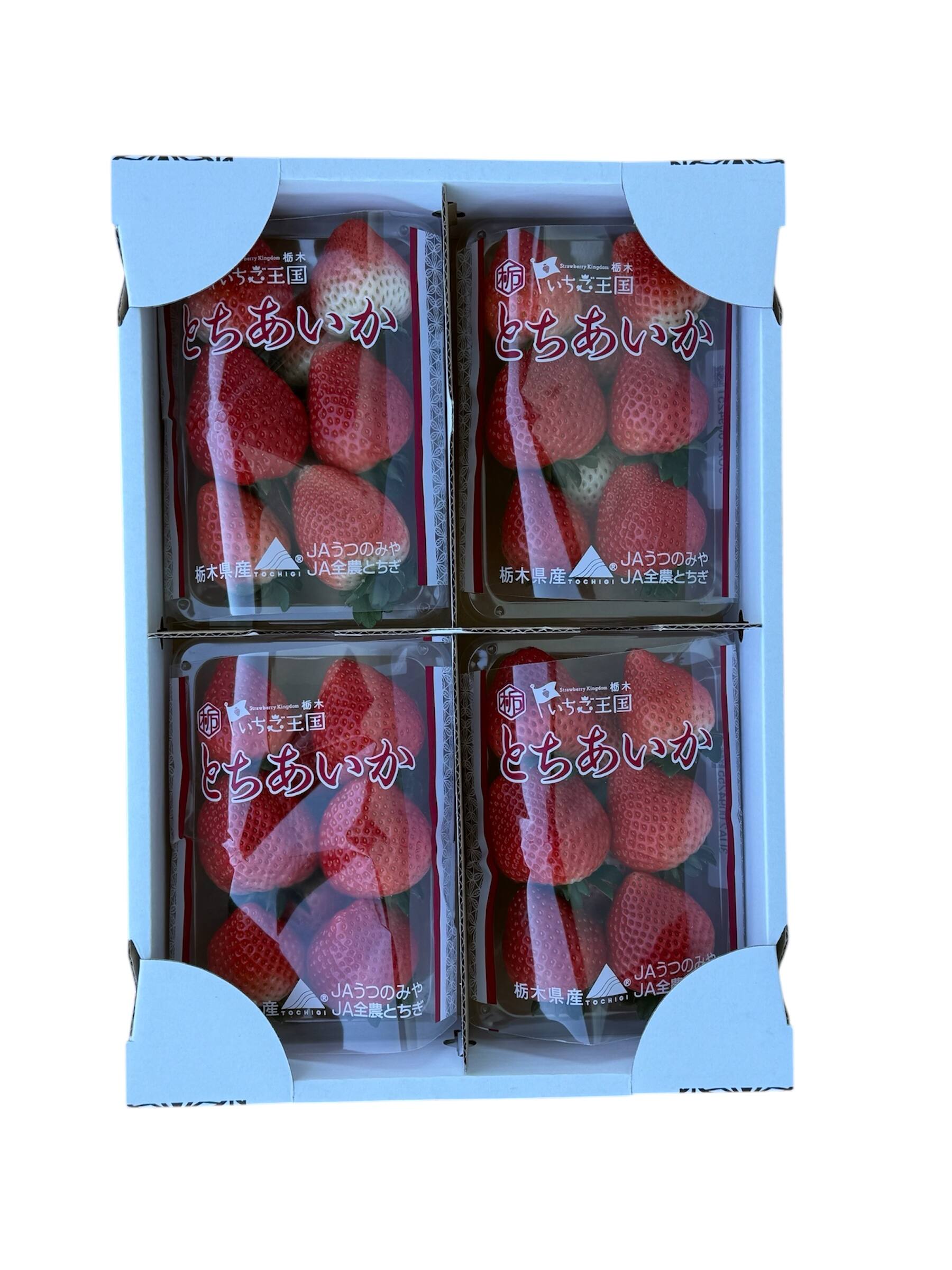 栃木県上三川町で白イチゴ、米を生産し販売する藤田農園