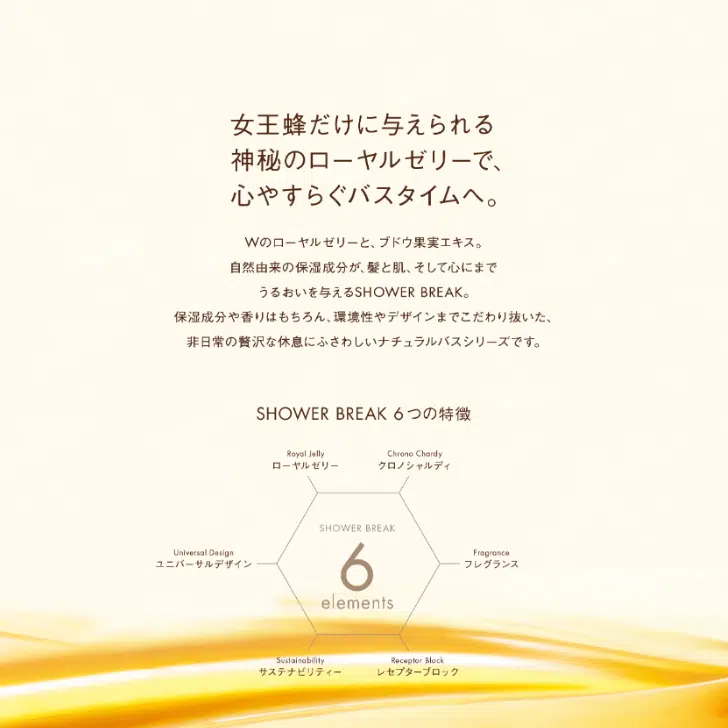 セット品］POLA シャワーブレイク シャンプー10L＆コンディショナー10L