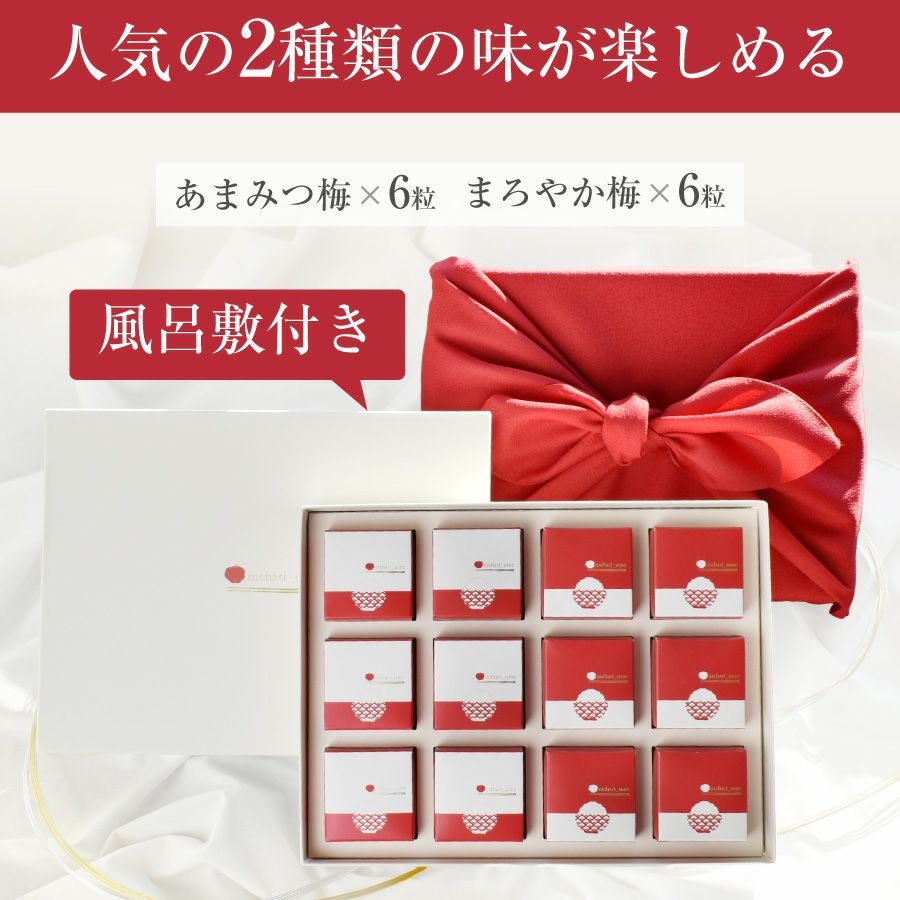 最高級紀州はちみつ梅干し 2種入り 【mehari_ume （めはりうめ）12粒