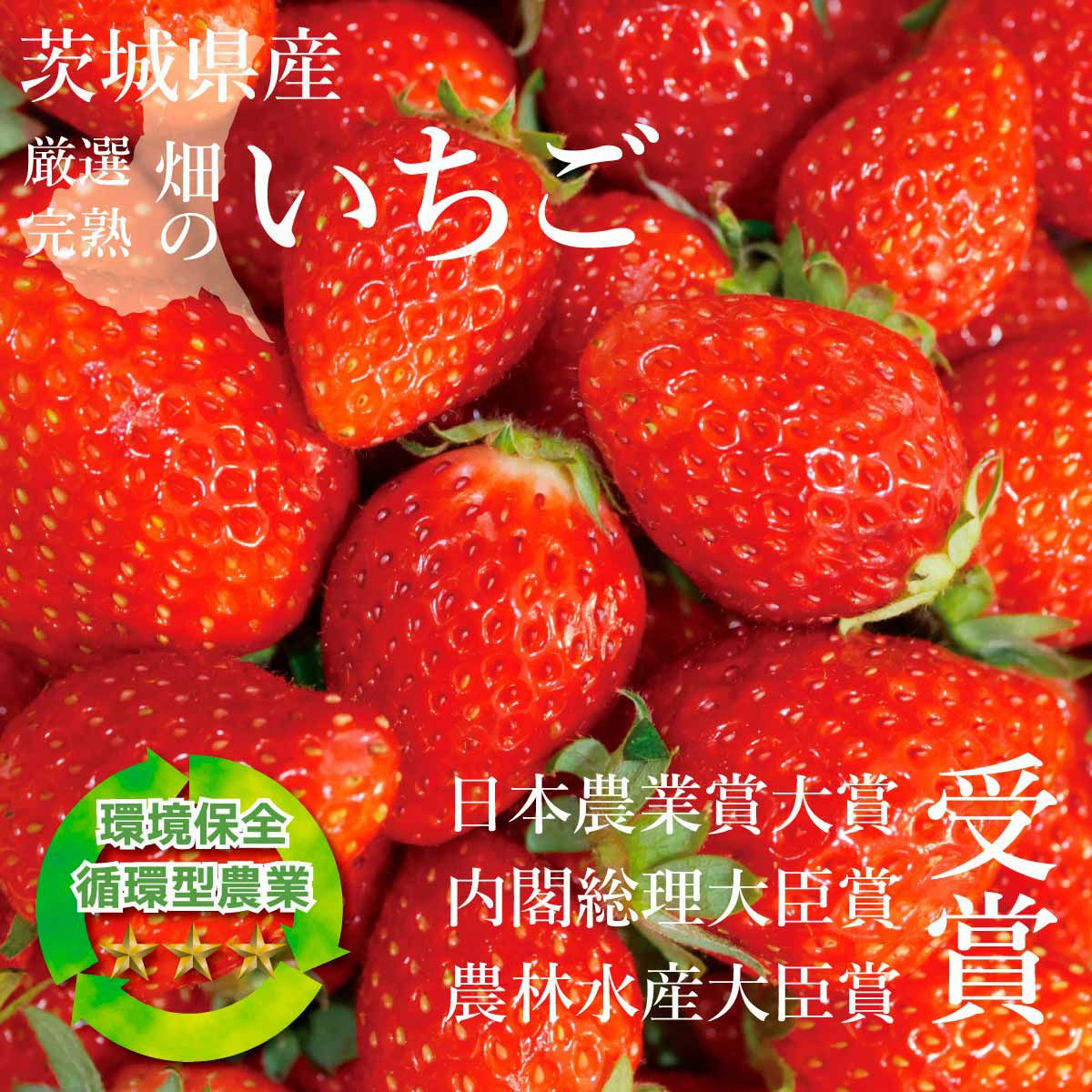 メロンゼリー | 深作農園