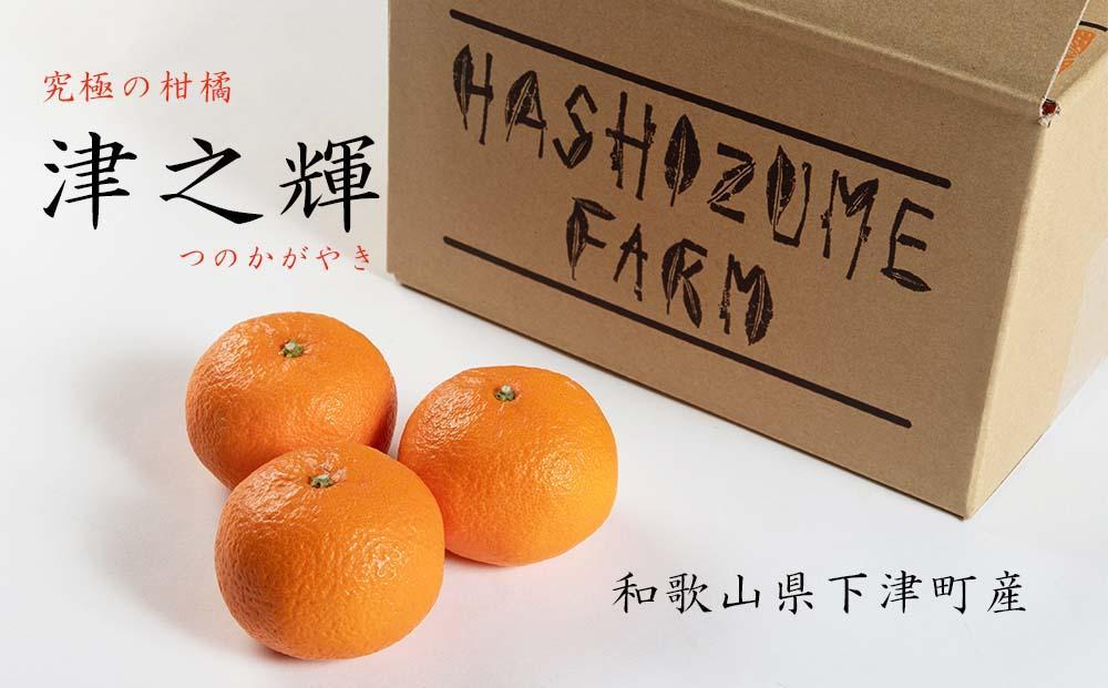 津之輝 約3kg S・M・Lサイズおまかせ 《赤秀》 和歌山県産 農園直送