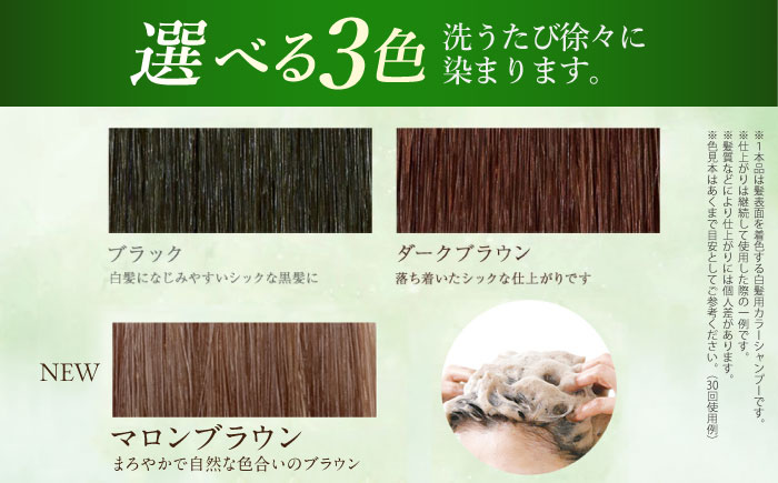 全3回定期便】【色が選べる！2本セット】［白髪用］利尻炭酸カラー