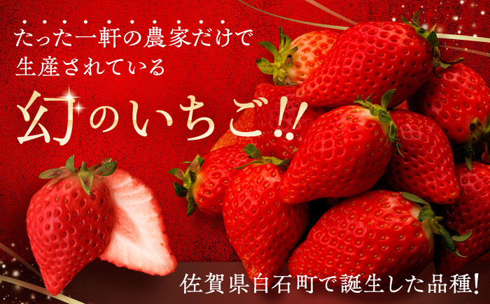 先行予約】【際立つ甘さ！】幻のいちご『咲姫』2パック（計450g以上