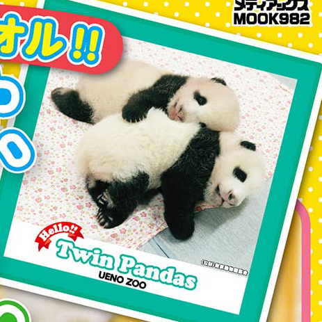 シャオシャオ、レイレイ、シャンシャン みんな大好き！ 【付録