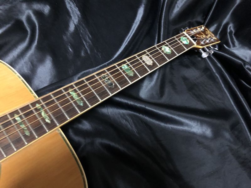 Hill Billy / W-60 - HR/HMギター専門店 FUTURE WORLD