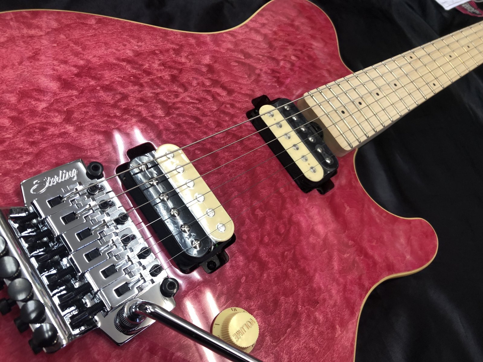 Sterling by Musicman / AX40 AXIS Transparent Pink（新品・送料無料