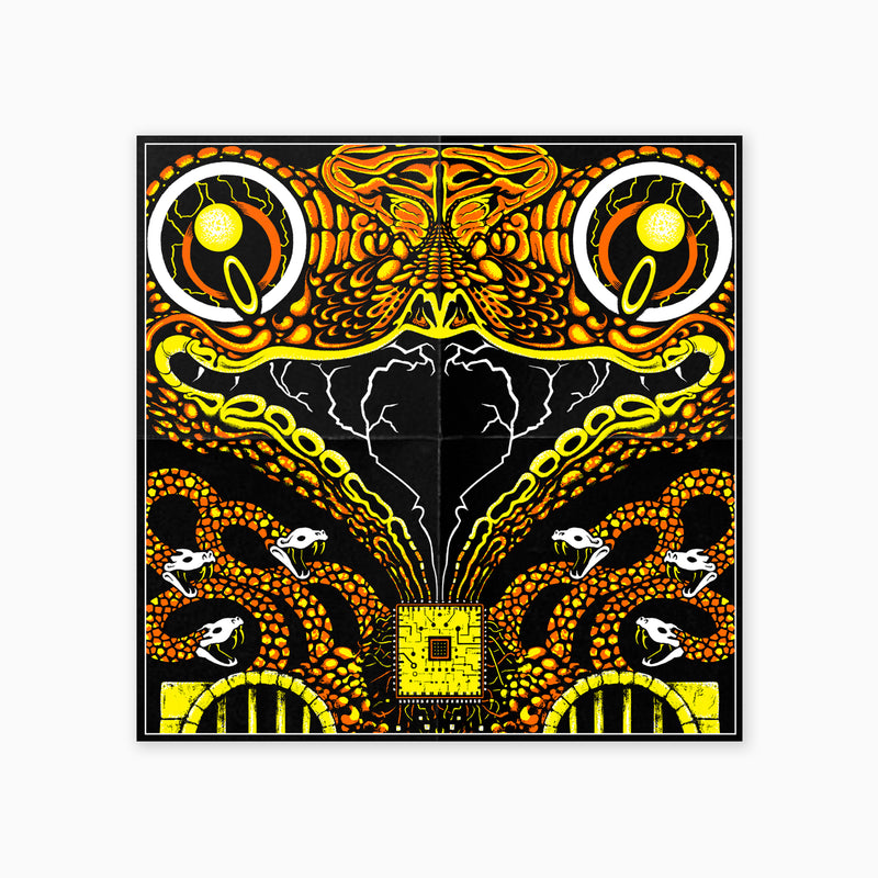 King Gizzard And The Lizard Wizard - Live In San Diego '24 – Fuzz Club