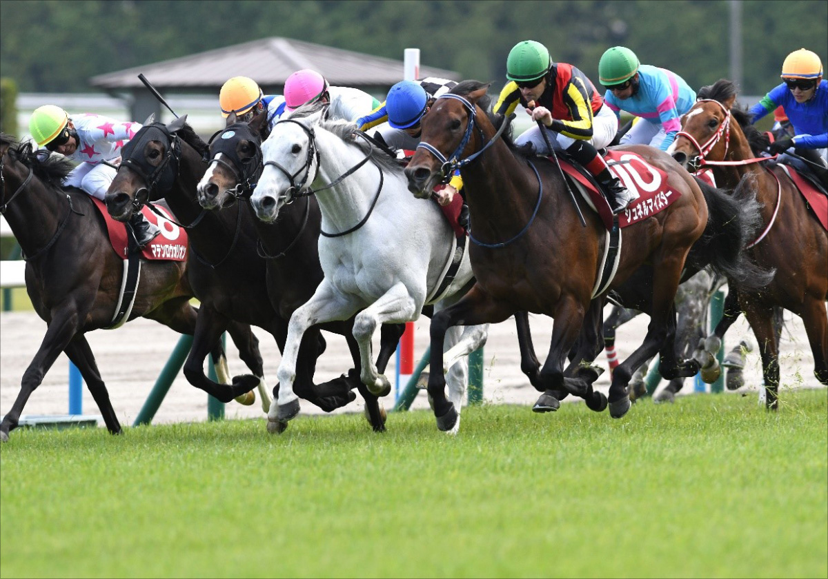 名コンビ・吉田隼人×ソダシは「なぜ」解散に至ったのか。D.レーン