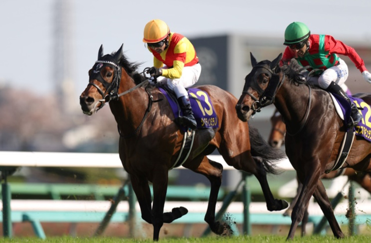 日本ダービー】戸崎圭太「今年は俺だったのになぁ」も12番人気の激走に