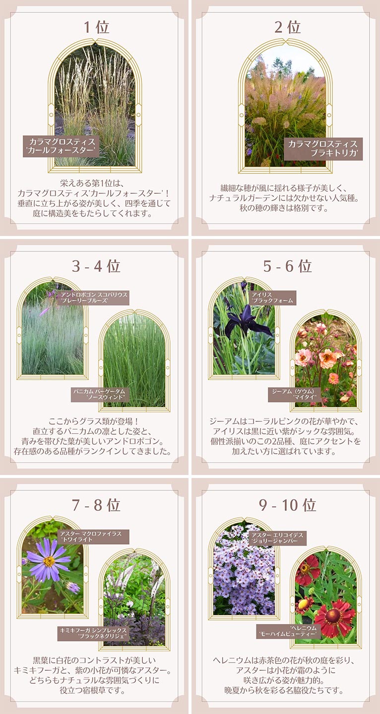 2025年 宿根草 TOP10！大森ガーデン – Gadenetガデネット