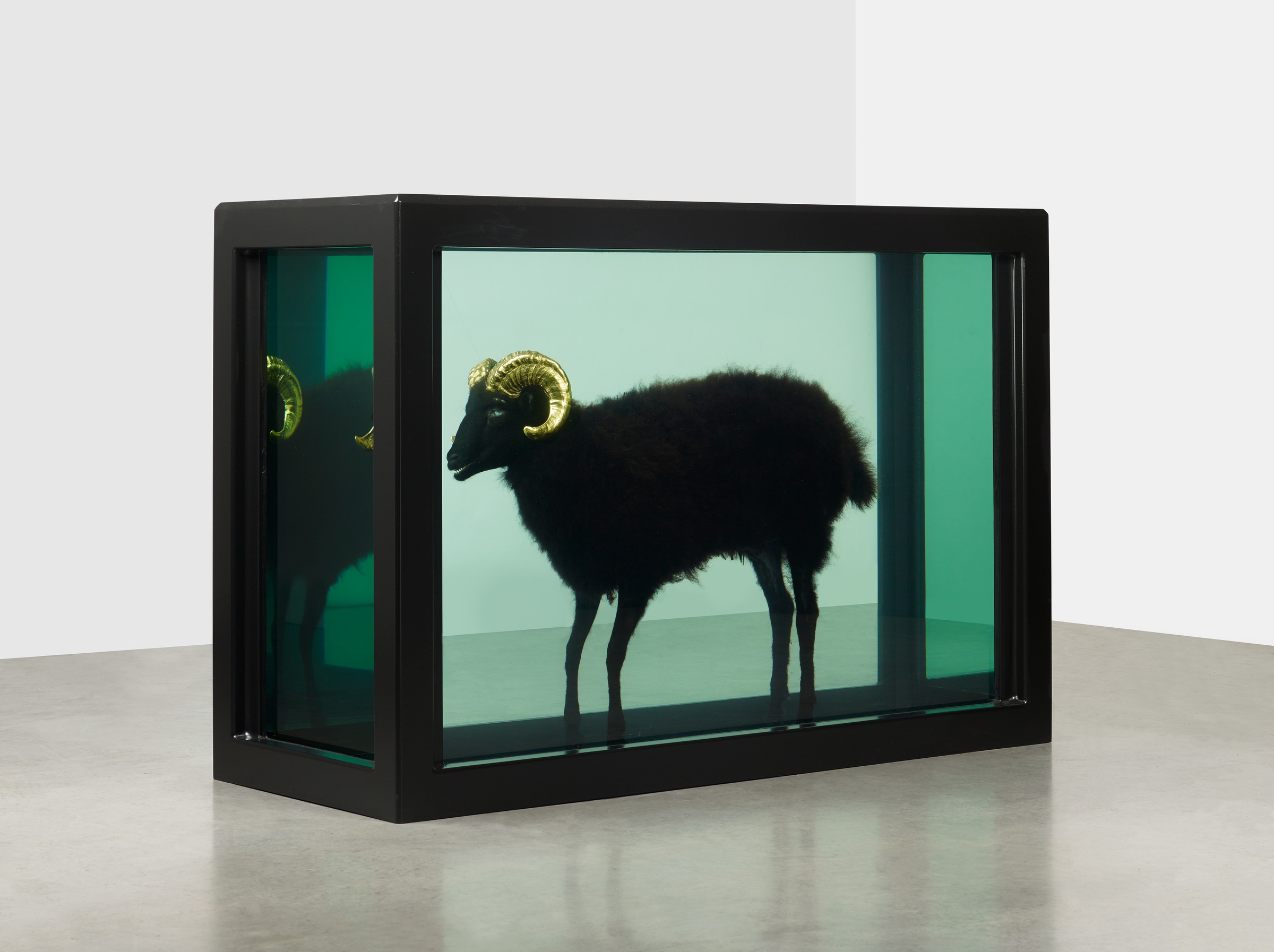Damien Hirst ダミアンハースト ペーパーウェイト Damien Hirst