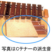 こおろぎ社 木琴・卓上木琴（シロボックスホーン Aテナー）・楽器販売