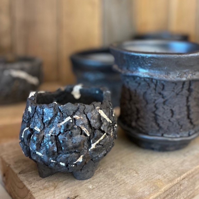 作家の鉢×アガベ POP UP | garage living with plants