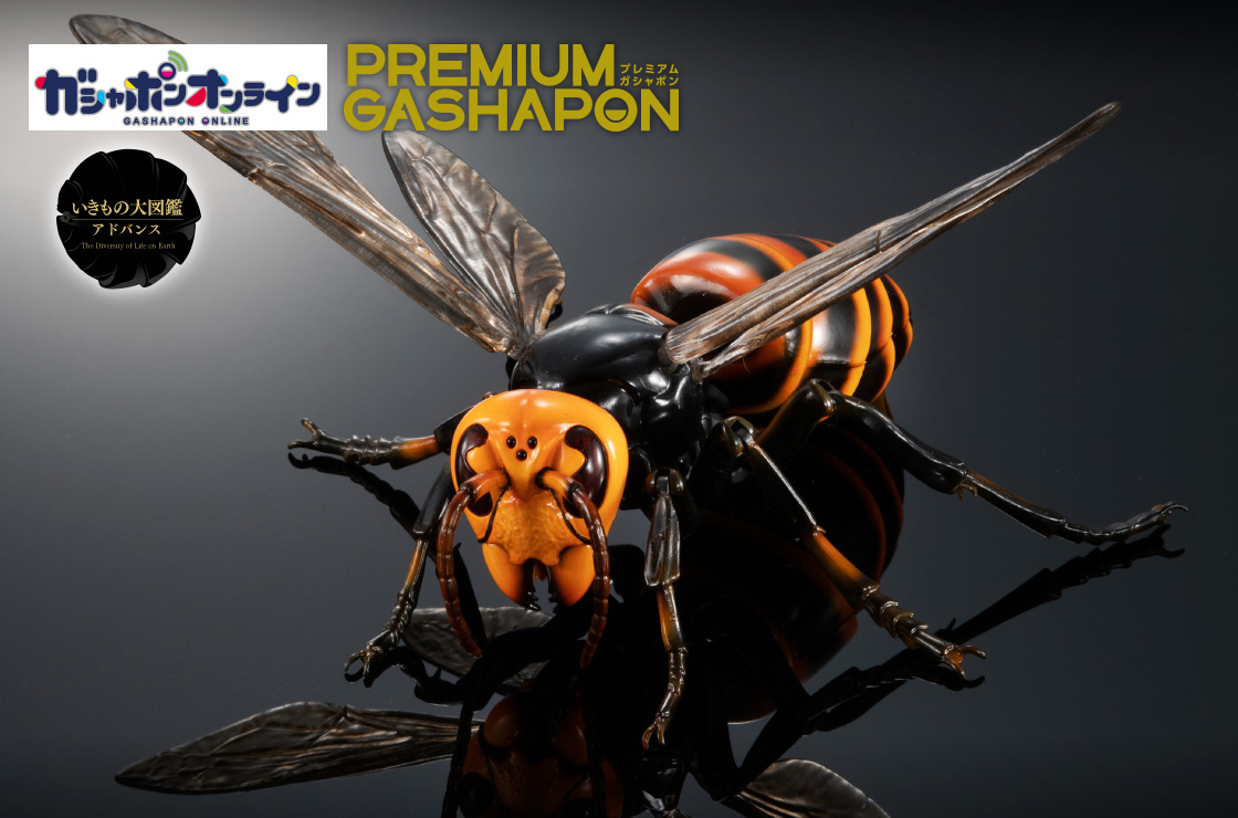 いきもの大図鑑アドバンス スズメバチ｜いきもの大図鑑｜ガシャポン