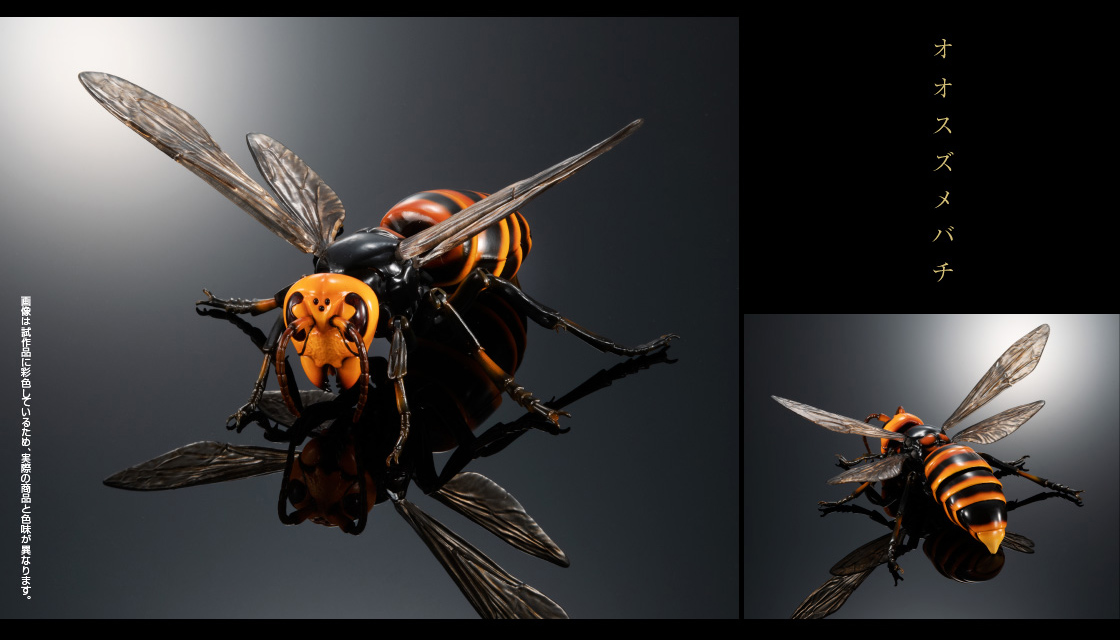 いきもの大図鑑アドバンス スズメバチ｜いきもの大図鑑｜ガシャポン