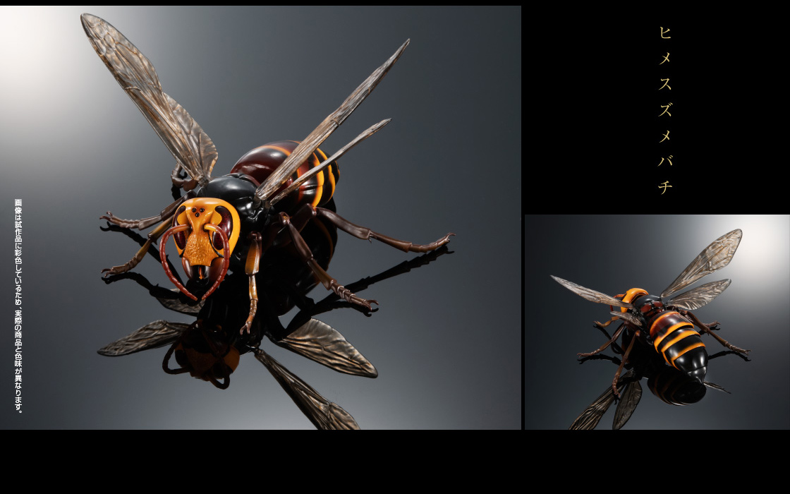 いきもの大図鑑アドバンス スズメバチ｜いきもの大図鑑｜ガシャポン