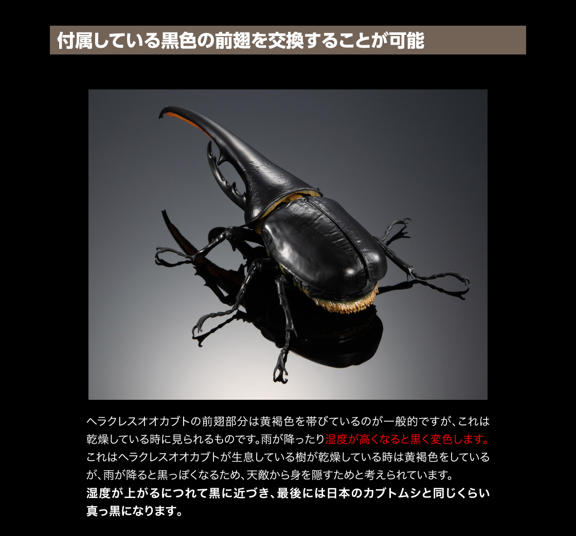 いきもの大図鑑プレミアム ヘラクレスオオカブト（ヘラクレス