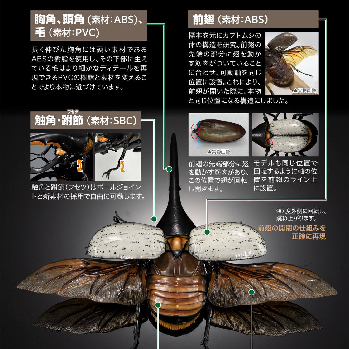 いきもの大図鑑プレミアム ヘラクレスオオカブト（ヘラクレス