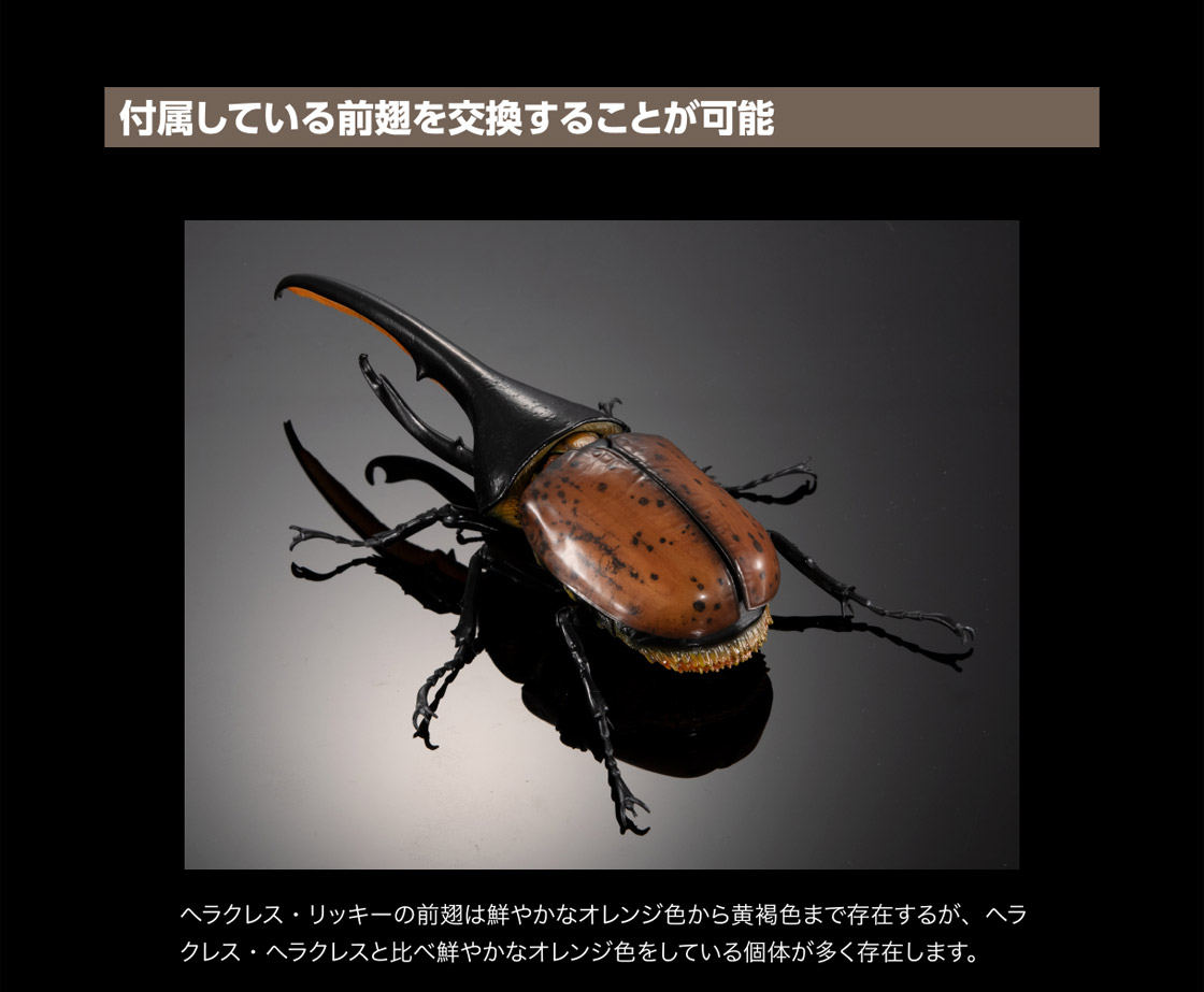 いきもの大図鑑プレミアム ヘラクレスオオカブト（ヘラクレス