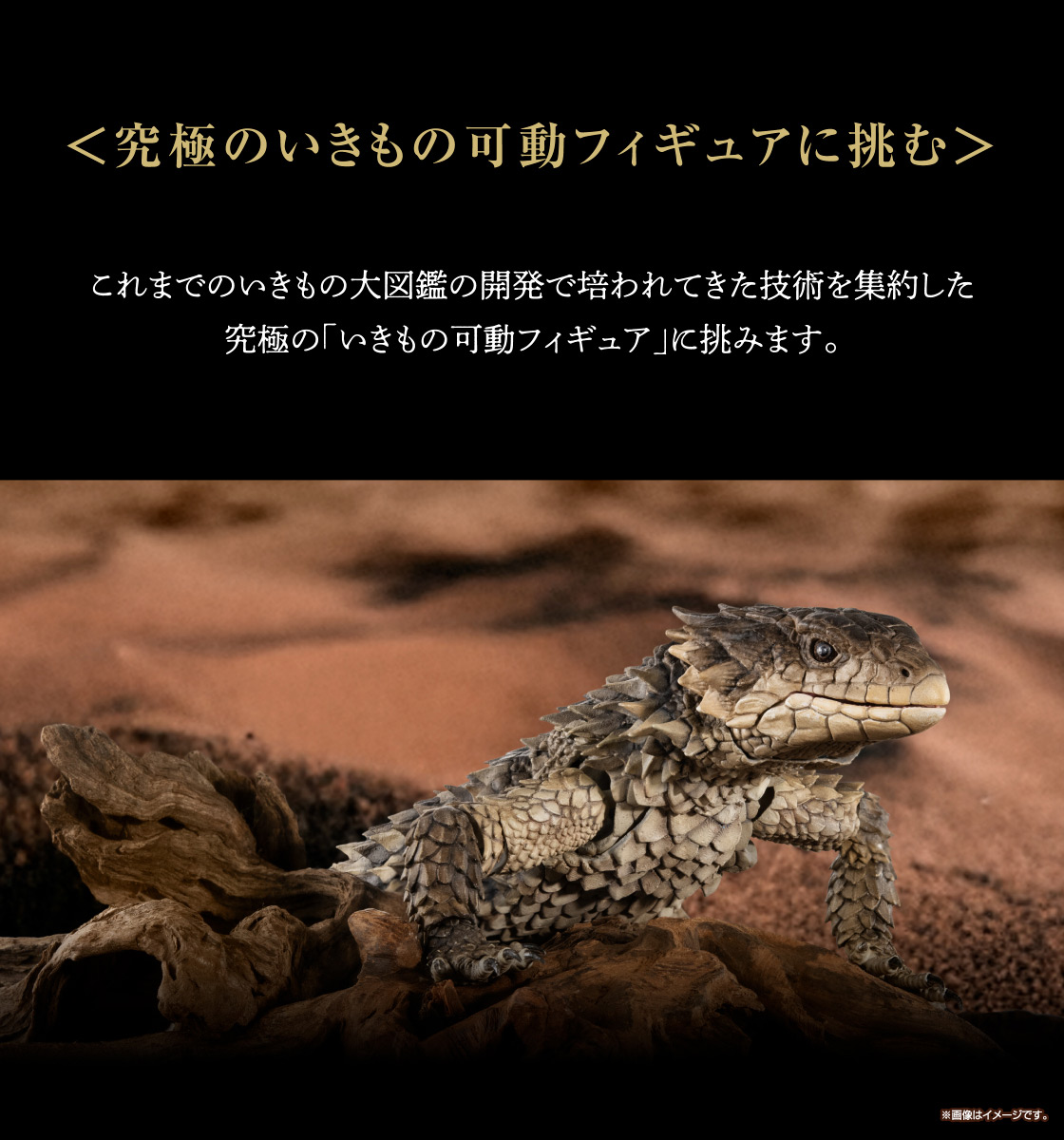 いきもの大図鑑アルティメット オオヨロイトカゲ｜いきもの大図鑑