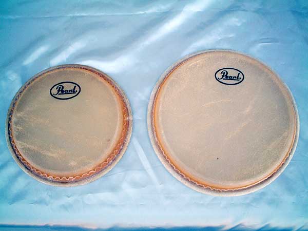 ボンゴ特集 詳細徹底比較