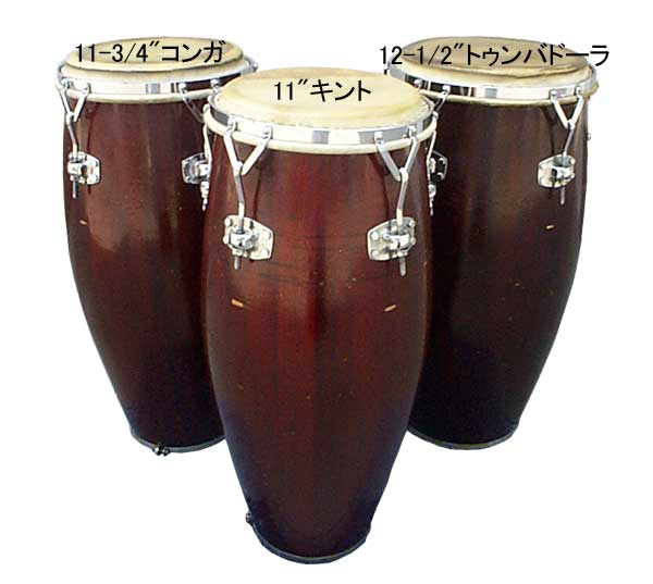 GATEWAY > 特選商品比較＆特集記事 > コンガ編