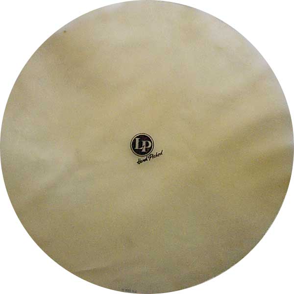 GATEWAY > 特選商品比較＆特集記事 > コンガ編