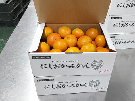 新着情報 | ページ 2 | 株式会社玄柑舎-食と農とをつなぐ架け橋