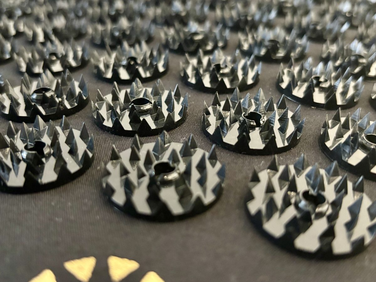 痛っ！」記者が絶叫した“トゲマット”。芸能人もハマる「シャクティ