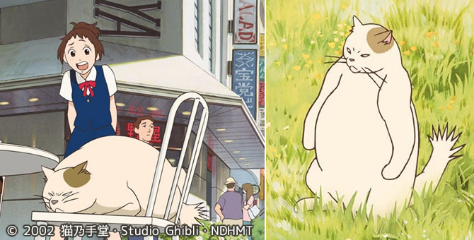 猫の恩返し』の豆知識まとめ | スタジオジブリ 非公式ファンサイト