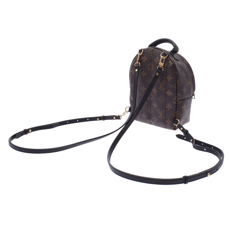 ルイヴィトンパームスプリングス バックパック MINI 旧型 14145