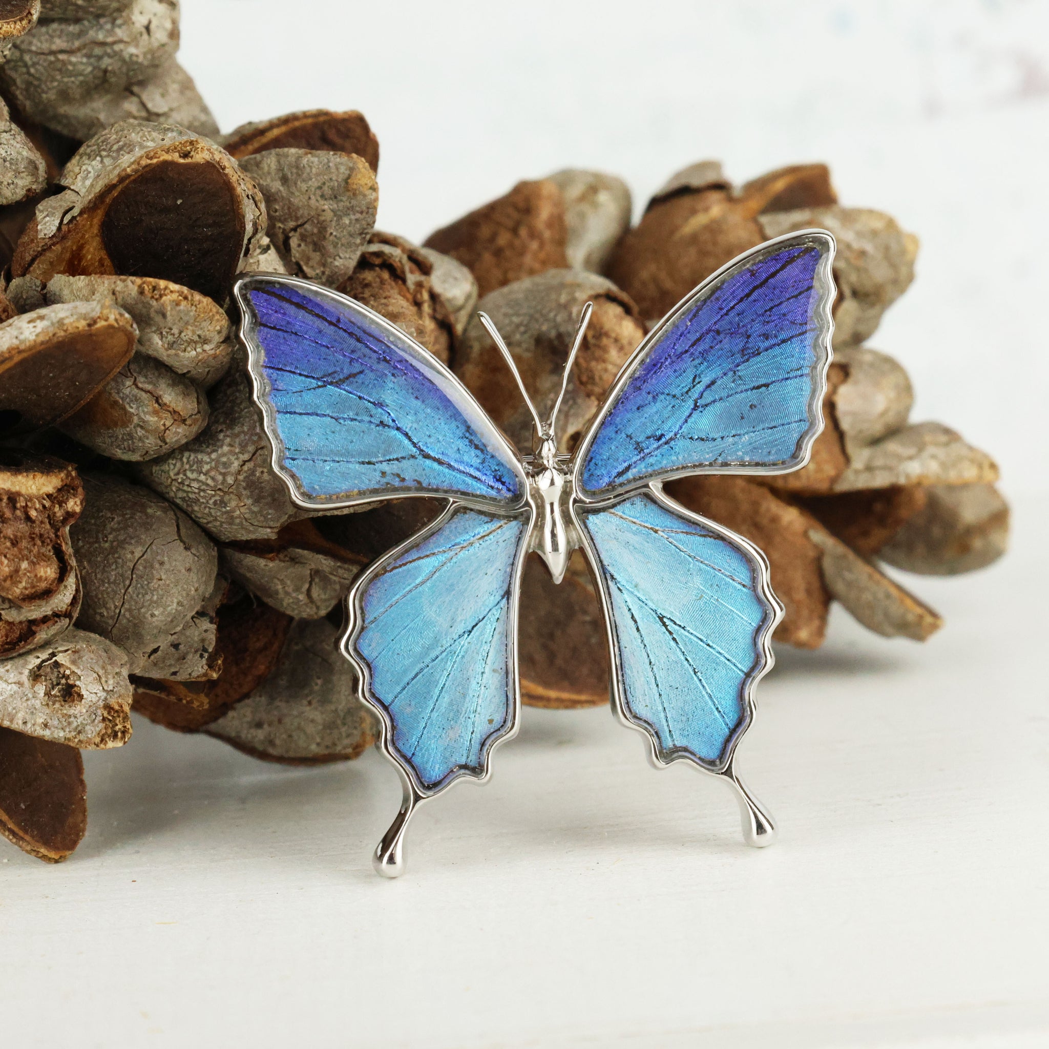 Psyche : NEW Arrival 本物の蝶の翅 アゲハ蝶 ブローチ兼ペンダント