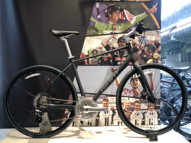 3色揃いました！「ESCAPE R DISC」 ｜ ジャイアントストア二子玉川